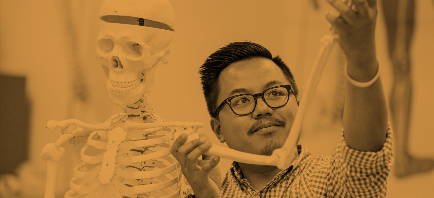 student examining skeleton