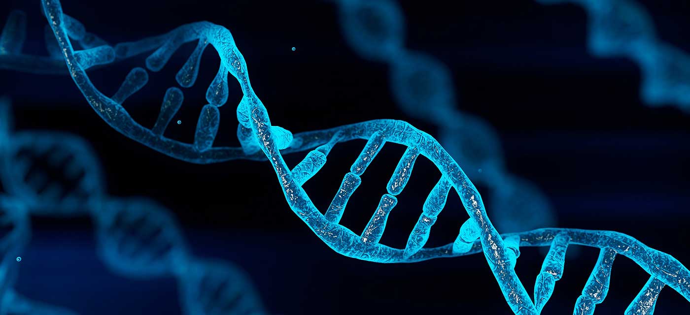 closeup of DNA