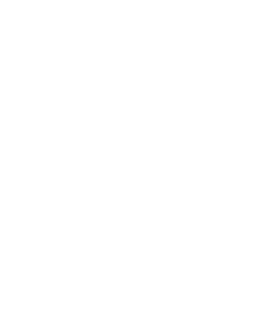 laptop user